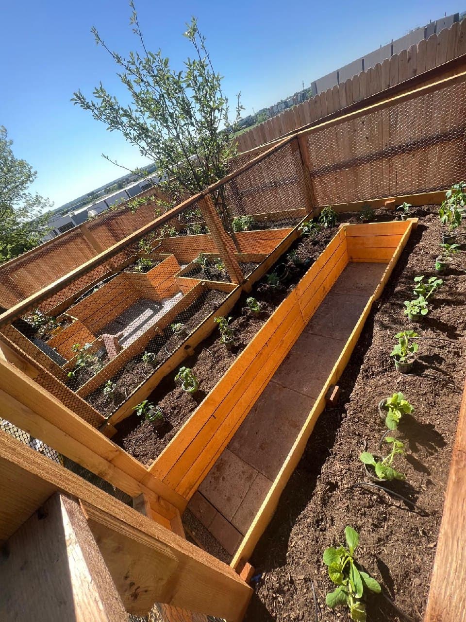 Raised Garden Beds