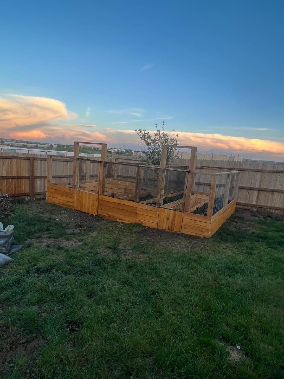 Garden Beds at Sunset